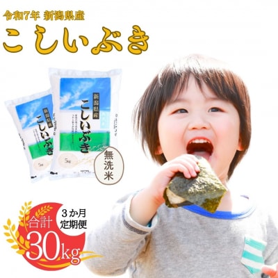 [定期便] 無洗米 こしいぶき 10kg3か月 新潟県令和7年産 白熊【034S004】