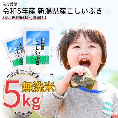 先行受付 [定期便] 無洗米 こしいぶき 5kg3か月 新潟県令和5年産 白熊【017S007】