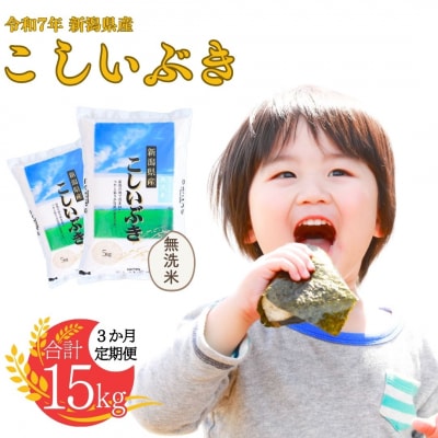 [定期便] 無洗米 こしいぶき 5kg3か月 新潟県令和7年産 白熊【017S007】