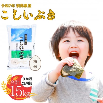 新米 [定期便] 新潟県産こしいぶき 5kg3か月 精米 令和7年産 白熊【016S008】