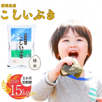 先行受付 [定期便] 新潟県産こしいぶき 5kg3か月 精米 令和8年産 白熊【016S008】