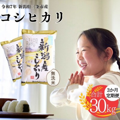 先行受付 [定期便] 無洗米 コシヒカリ 10kg3か月 三条市令和7年産 白熊【041S004】