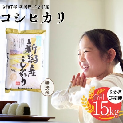 [定期便] 無洗米 コシヒカリ 5kg3か月 三条市令和7年産 白熊【021S005】