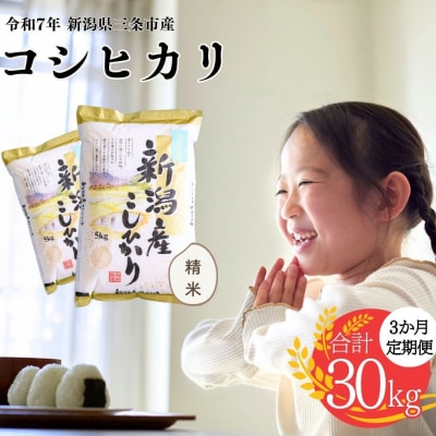 [定期便] 三条市産コシヒカリ 10kg 3か月 精米 令和7年産 白熊 【038S005】