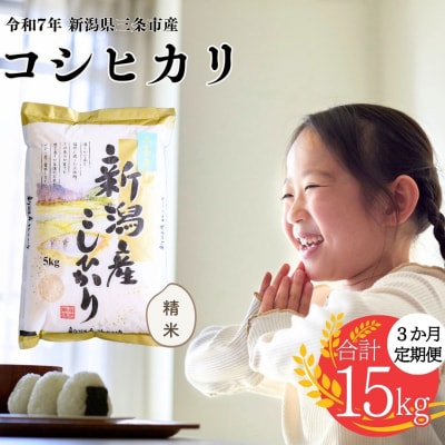 先行受付 [定期便] 三条市産コシヒカリ 5kg3か月 精米 令和6年産 白熊 【020S013】