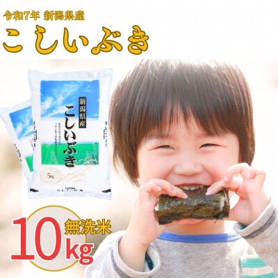 新米 先行受付 無洗米 新潟県産こしいぶき10kg 令和7年産 米【012S021】