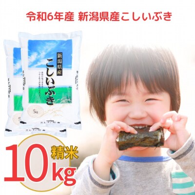 新潟県産 こしいぶき 10kg 令和6年産 米【011S037】