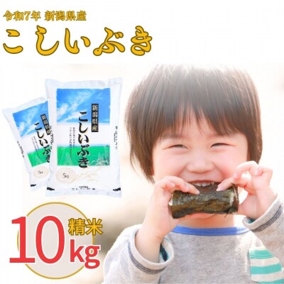 新米 新潟県産 こしいぶき 10kg 令和7年産 米【011S037】