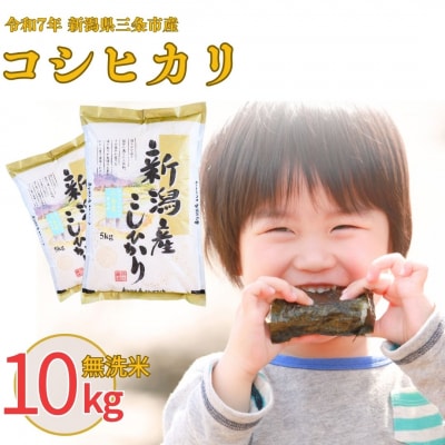 新米 先行受付 無洗米 コシヒカリ 10kg 新潟県三条市産無洗米 【014S022】