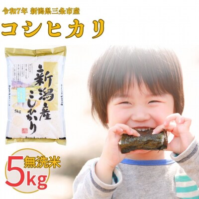 新米 先行受付 無洗米コシヒカリ 5kg 新潟県三条市産無洗米 コシヒカリ【010S100】