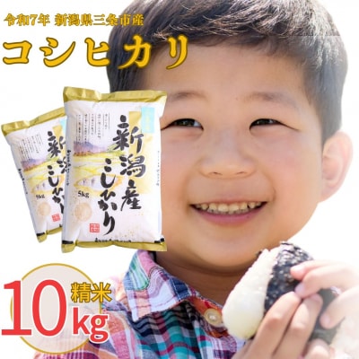 新潟県三条市産 コシヒカリ 10kg 令和7年産 [株式会社白熊]【013S009】