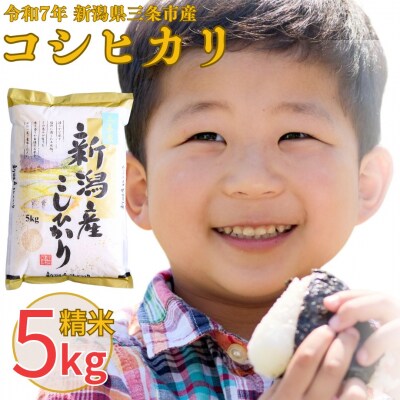 新米 先行予約 新潟県三条市産 コシヒカリ 5kg 令和7年産 [株式会社白熊] 【010S099】