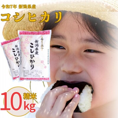 新米 先行受付 新潟県産 コシヒカリ 10kg 精米令和7年産  【013S008】
