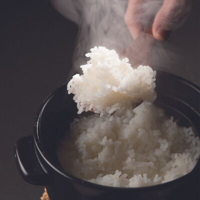 コシヒカリ 10kg (5kg×2袋) 令和7年産 新潟県三条市 【014S020】