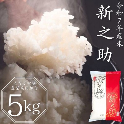 新潟県産 新之助 5kg 白米 令和7年産 しんのすけ 【010S078】