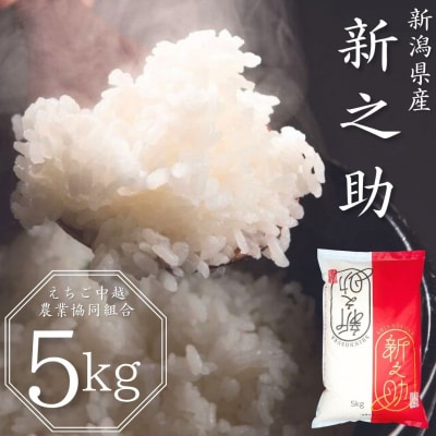 先行受付 新潟県産 新之助 5kg 白米 令和8年産 しんのすけ 【010S078】