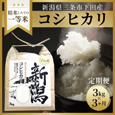 [定期便] 新潟県三条市下田産 コシヒカリ 3kg 3か月(3ヶ月)連続でお届け【013S007】 | ふるさと納税のお礼品