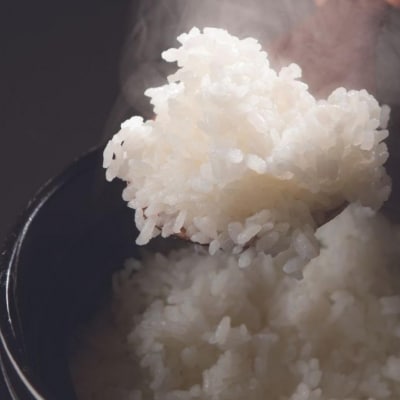 [定期便3kg×3ヶ月] コシヒカリ 令和7年産米 新潟県三条市 【013S007】