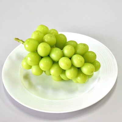 先行受付 シャインマスカット 1房 (600g以上) 令和8年度 新潟県産 種なし【010S079】