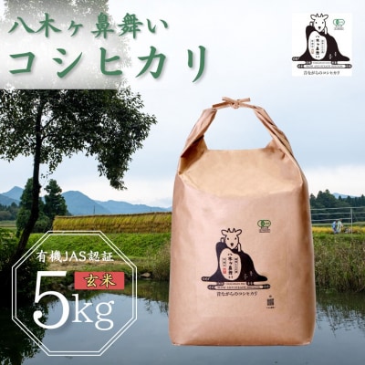 先行受付 八木ヶ鼻舞い オーガニックなコシヒカリ 玄米 5kg 令和8年産【019S020】