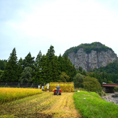 八木ヶ鼻舞い オーガニックなコシヒカリ 玄米 5kg 令和7年産【019S020】