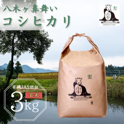 有機JAS認証 八木ヶ鼻舞い オーガニックなコシヒカリ 玄米 3kg 令和7年産 【012S023】