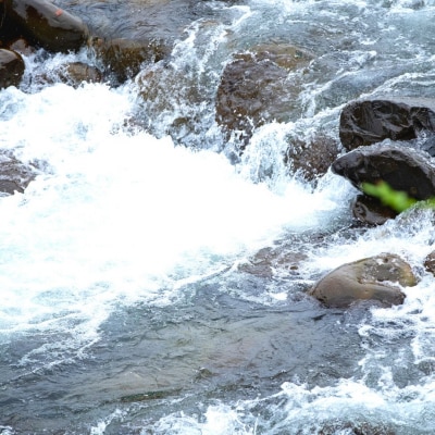 有機JAS認証 八木ヶ鼻舞い オーガニックなコシヒカリ 玄米 3kg 令和7年産 【012S023】