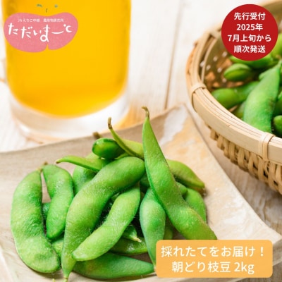 先行受付 採れたてをお届け! 朝どり枝豆 2kg 新潟県産 [JAえちご中越]【010S119】