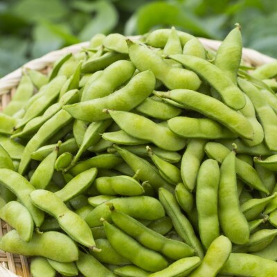 先行受付 採れたてをお届け! 朝どり枝豆 2kg 新潟県産 [JAえちご中越]【010S119】