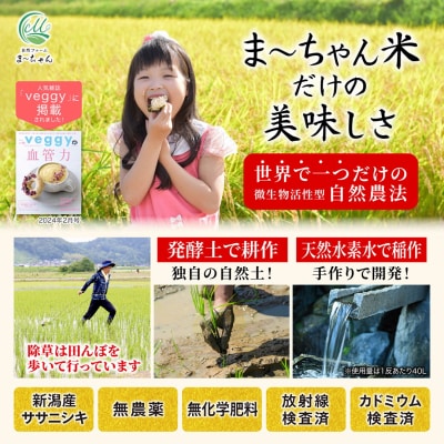 先行受付 新米 ササニシキ 玄米 5kg 令和7年産米 自然農法 ま〜ちゃん米【015S015】