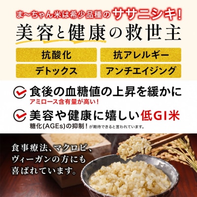 先行受付 新米 ササニシキ 玄米 5kg 令和7年産米 自然農法 ま〜ちゃん米【015S015】