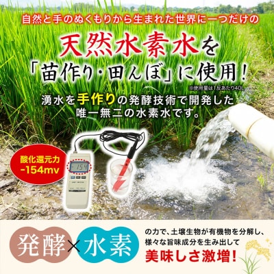 先行受付 新米 ササニシキ 玄米 5kg 令和7年産米 自然農法 ま〜ちゃん米【015S015】