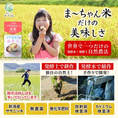 新米 ササニシキ 玄米 10kg ま〜ちゃん米 令和8年産米 自然農法 【029S004】