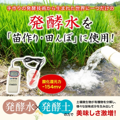 新米 ササニシキ 玄米 10kg ま〜ちゃん米 令和8年産米 自然農法 【029S004】