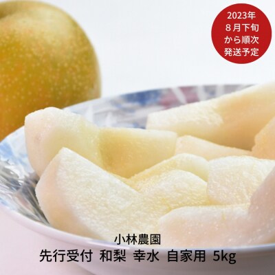先行受付 訳アリ 和梨 幸水 自家用 約5kg 新潟県 三条市産 梨 [小林農園]【010P078】 | ふるさと納税のお礼品