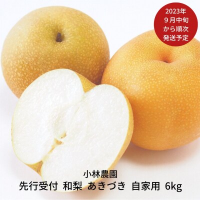 先行受付 和梨 あきづき 自家用 約6kg 新潟県 三条市産 梨 [小林農園]【010P073】