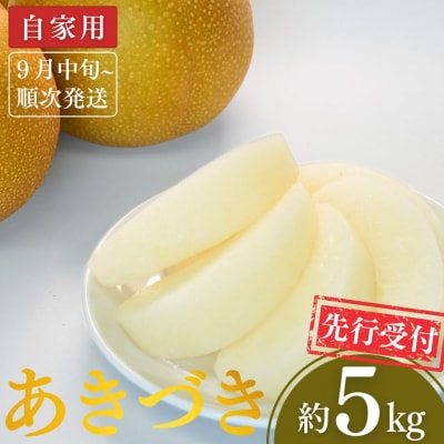 先行受付 和梨 あきづき 自家用 約5kg 新潟県 三条市産 梨 [小林農園]【010P073】