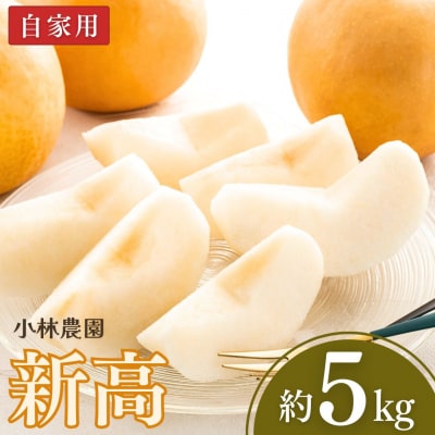 和梨 新高 自家用 約5kg 新潟県 三条市産 梨 果物 [小林農園]【010P074】