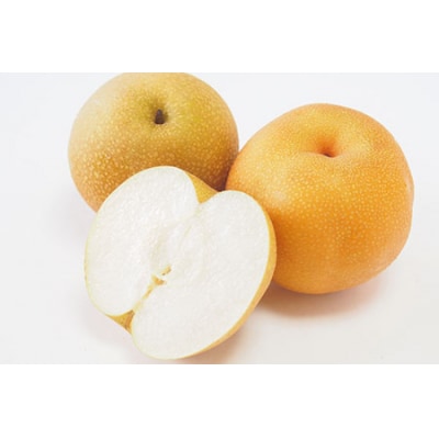 和梨 新興 自家用 約5kg [11月上旬から発送予定] [小林農園] 【010P075】