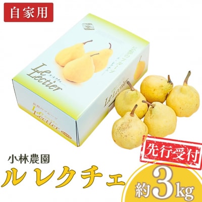 先行受付 ル レクチェ 自家用 約3kg [11月下旬から発送予定] 2026年産【010P076】