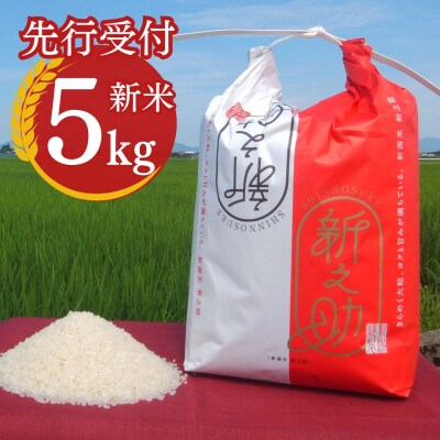 先行受付 新之助 5kg 新潟県産 [1月中旬から順次発送予定] 令和8年産 【010P079】