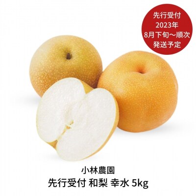 先行受付 和梨 幸水 5kg [2023年発送予定] 梨 幸水梨 [小林農園]【012P044】 | ふるさと納税のお礼品
