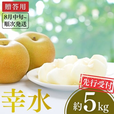 先行受付 和梨 幸水 約5kg [8月中旬から発送予定] 梨 幸水梨 [小林農園]【012P044】