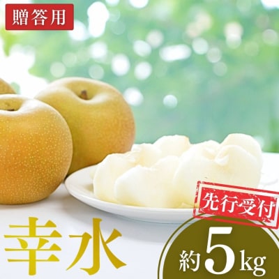 先行受付 和梨 幸水 約5kg 令和8年度 新潟県 三条市産 梨 [小林農園]【012P044】