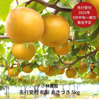 先行受付 和梨 あきづき 5kg [2023年発送予定] 梨 和梨  [小林農園]【012P045】 | ふるさと納税のお礼品