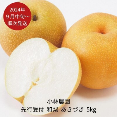 先行受付 和梨 あきづき 約5kg [2024年発送予定] 梨 和梨 [小林農園]【012P045】