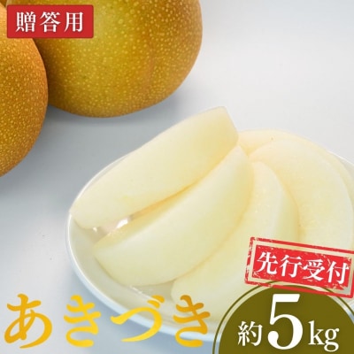先行受付 和梨 あきづき 約5kg 令和8年度 新潟県三条市産 梨 [小林農園]【012P045】