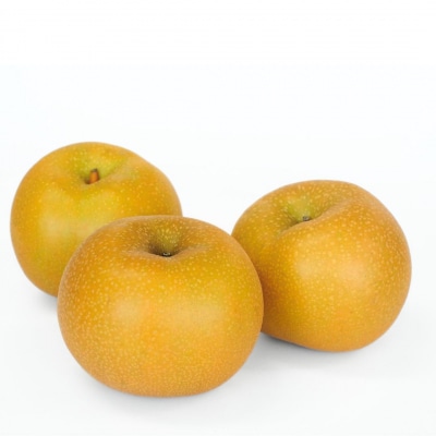 先行受付 和梨 あきづき 約5kg 令和8年度 新潟県三条市産 梨 [小林農園]【012P045】