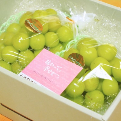 先行受付 シャインマスカット 1.2kg 果物 新潟県 三条市産 [小林農園]【013P027】