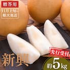 先行受付 和梨 新興 約5kg [2025年発送] 新潟県三条市産梨 [小林農園]【012P047】